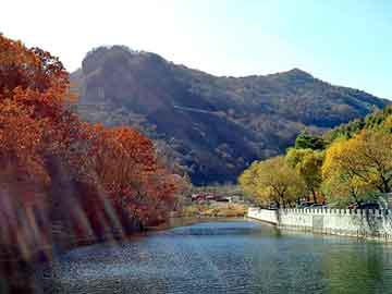 管家婆黑白马报图库，张柏芝出场费